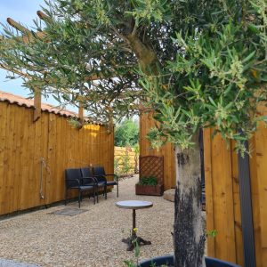 la-cabane-de-biscarrosse-3